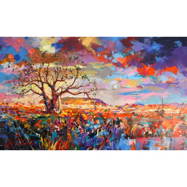 Boab Trees 11